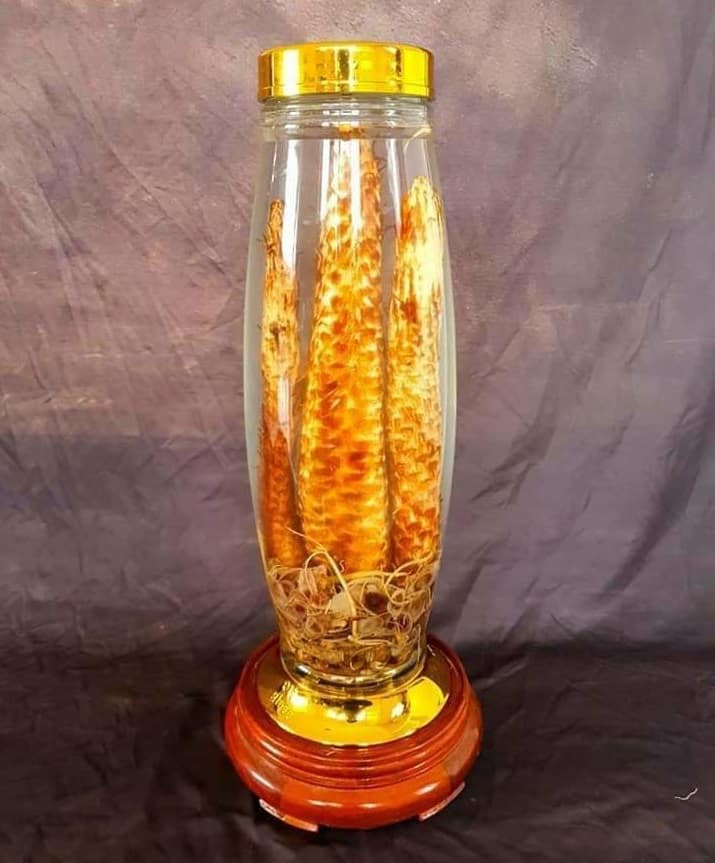 Rượu ngâm nhục thung dung Rượu ngâm nhục thung dung