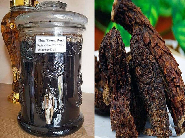 Rượu ngâm nhục thung dung3 Rượu ngâm nhục thung dung3