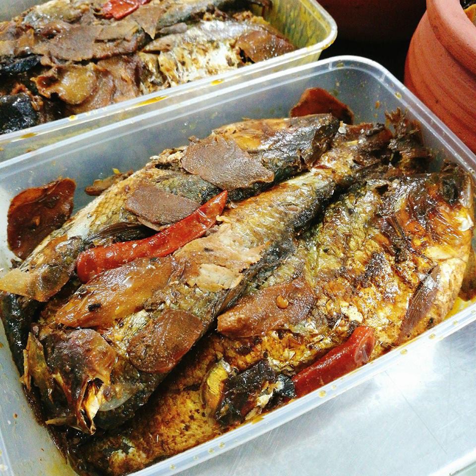 Giới thiệu về cá mòi