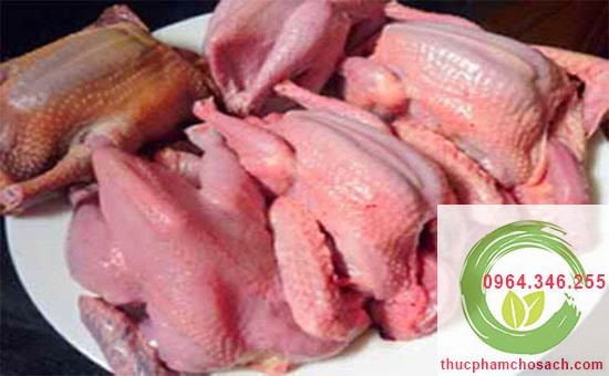 bồ câu làm sạch giá 100k/con bồ câu làm sạch giá 100k/con
