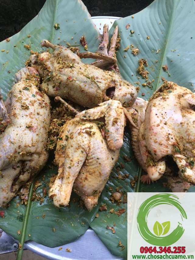Vịt trời tẩm ướp sẵn 165k/con Vịt trời tẩm ướp sẵn 165k/con